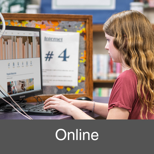 girl using a computer